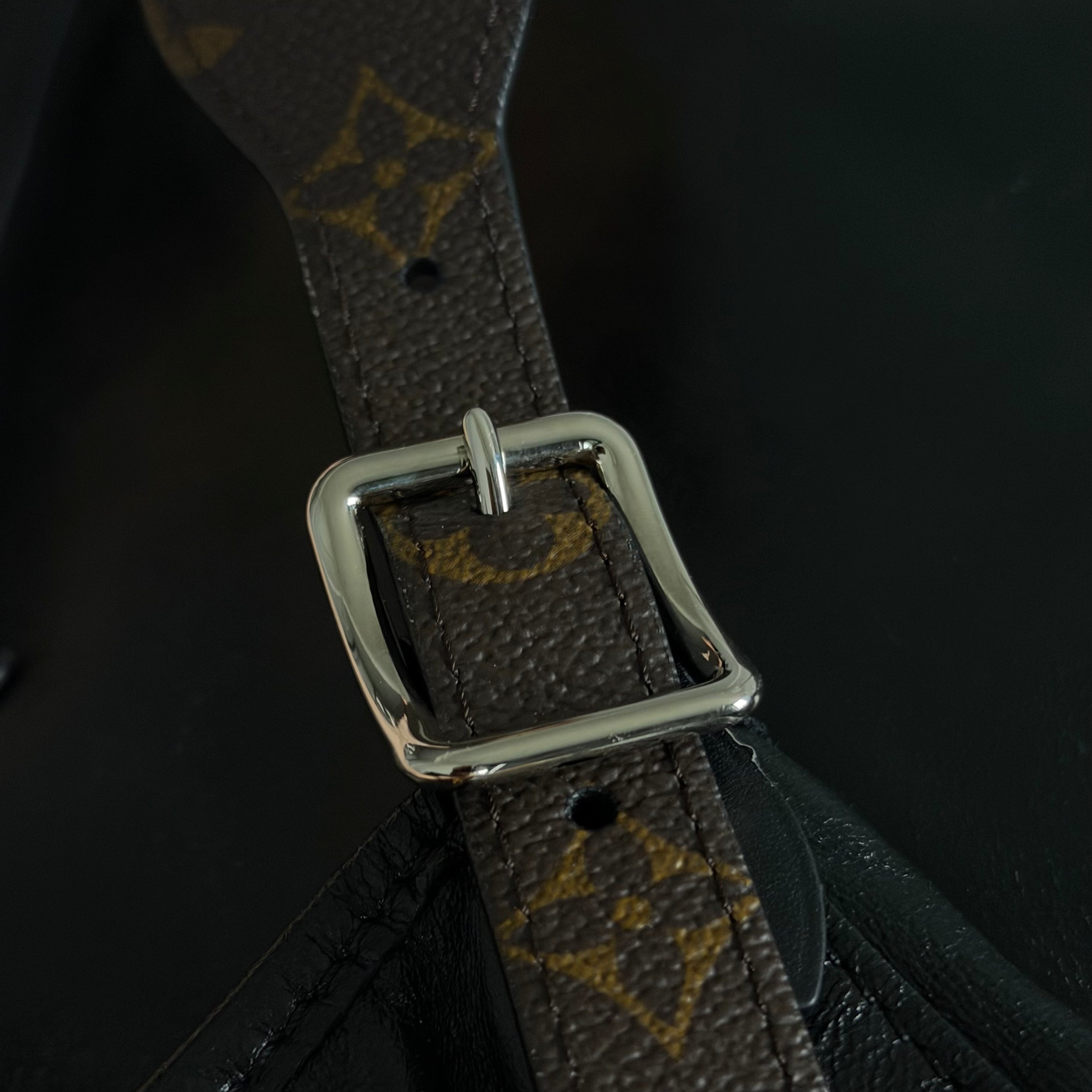 Louis Vuitton CarryAll Vibe MM Full Set